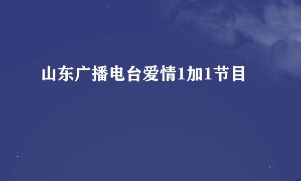 山东广播电台爱情1加1节目