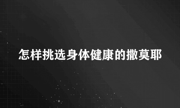 怎样挑选身体健康的撒莫耶