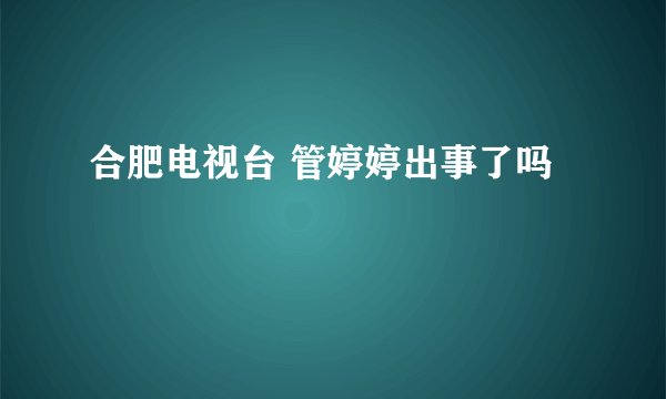 合肥电视台 管婷婷出事了吗