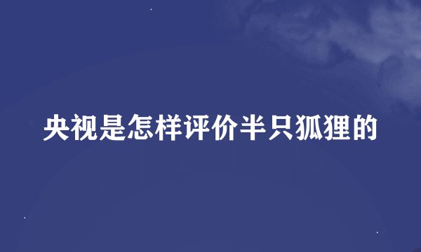央视是怎样评价半只狐狸的