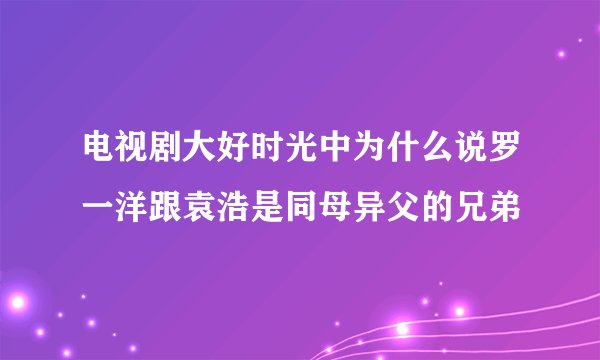 电视剧大好时光中为什么说罗一洋跟袁浩是同母异父的兄弟