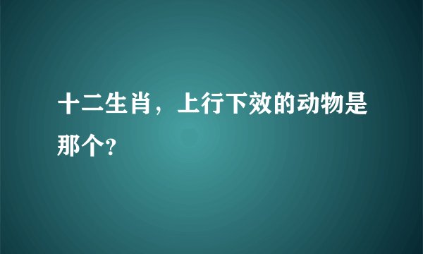 十二生肖，上行下效的动物是那个？