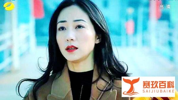 巡回检察组大结局:米振东认罪伏法!冯森回波立?罗欣然追人送旗