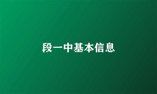 段一中基本信息