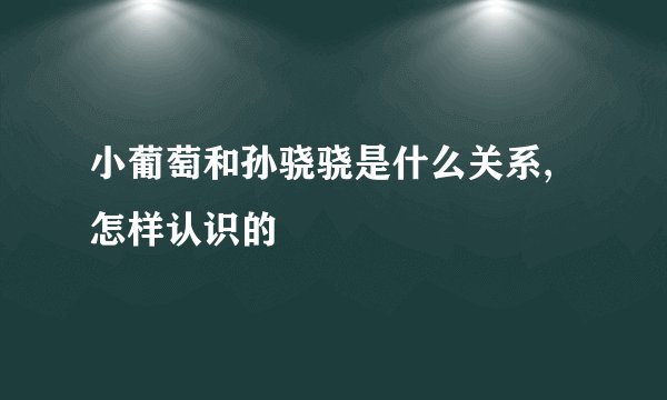 小葡萄和孙骁骁是什么关系,怎样认识的