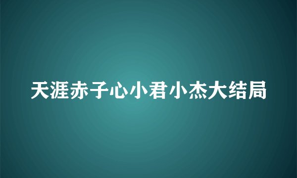 天涯赤子心小君小杰大结局