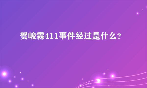 贺峻霖411事件经过是什么？