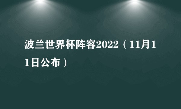 波兰世界杯阵容2022（11月11日公布）