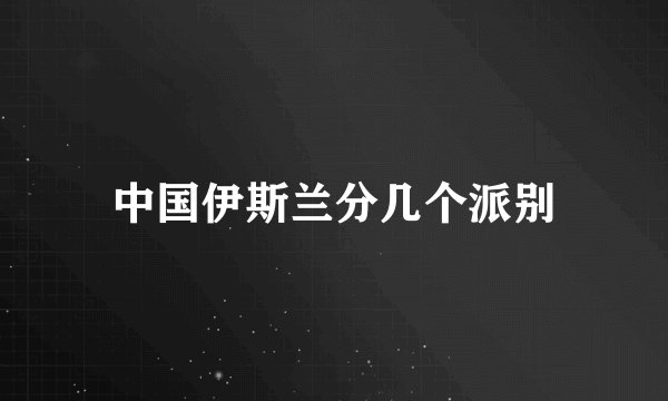 中国伊斯兰分几个派别