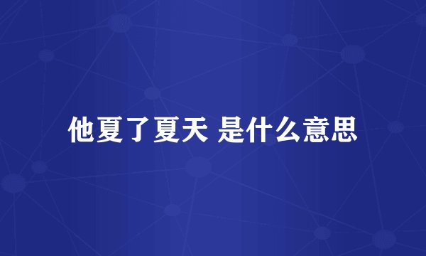 他夏了夏天 是什么意思