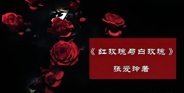 白月光和朱砂痣的区别是什么？