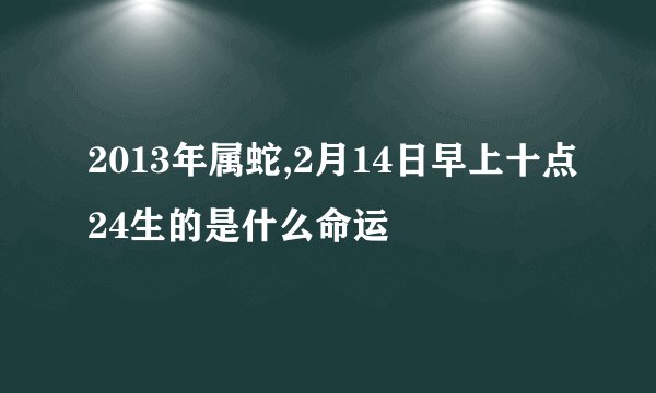 2013年属蛇,2月14日早上十点24生的是什么命运