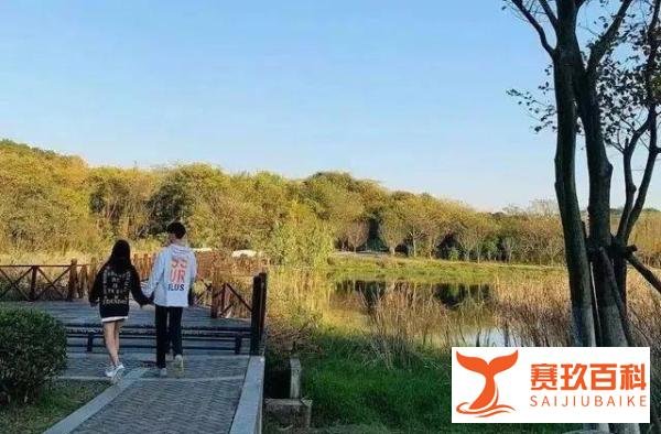 湖南22岁女子为离婚,伙同多名男子设计让老公酒驾被查!