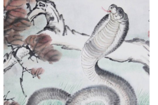 三姑六婆指精准生肖