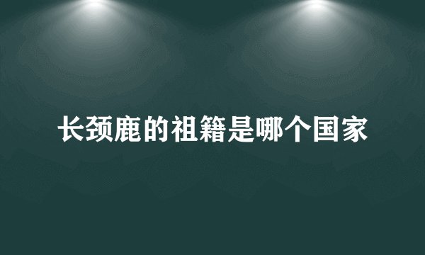 长颈鹿的祖籍是哪个国家