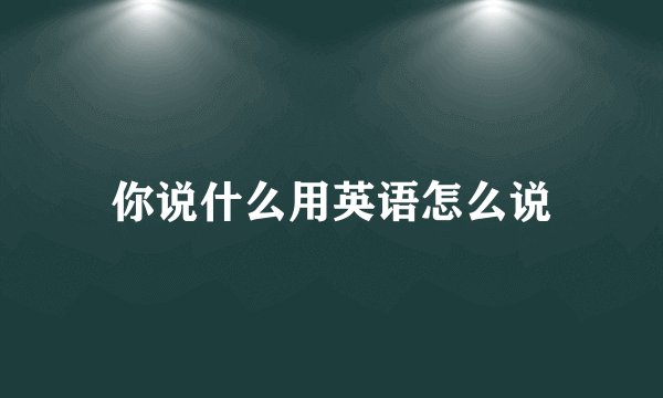 你说什么用英语怎么说