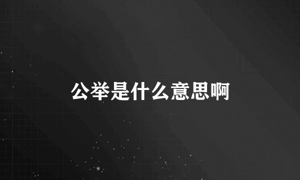 公举是什么意思啊