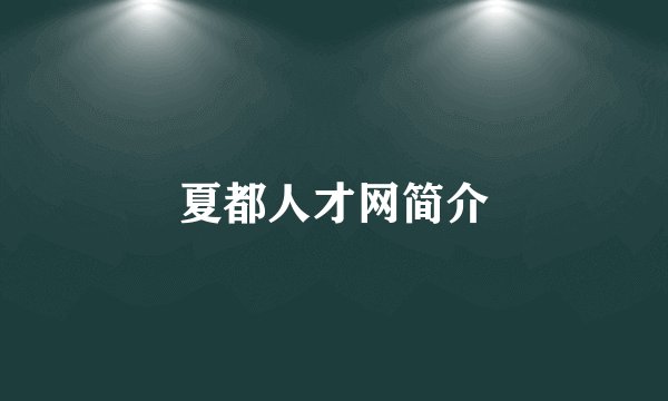 夏都人才网简介