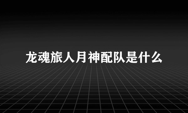 龙魂旅人月神配队是什么