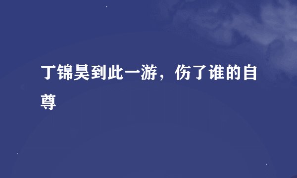 丁锦昊到此一游，伤了谁的自尊
