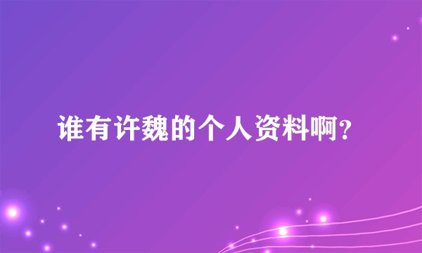 谁有许魏的个人资料啊？