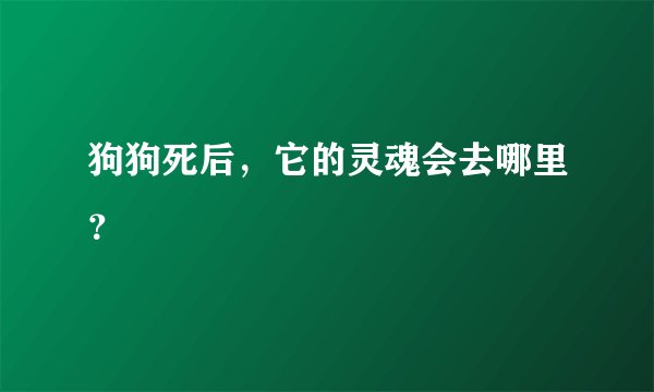狗狗死后，它的灵魂会去哪里？