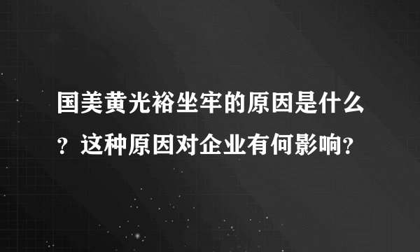 国美黄光裕坐牢的原因是什么？这种原因对企业有何影响？