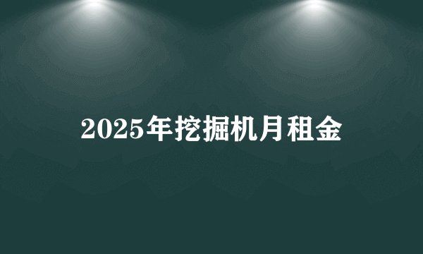 2025年挖掘机月租金