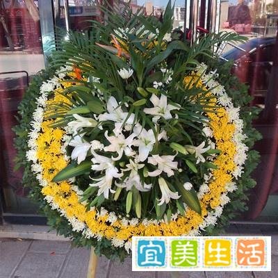 葬礼带什么花：葬礼用花有什么类型，该如何选择