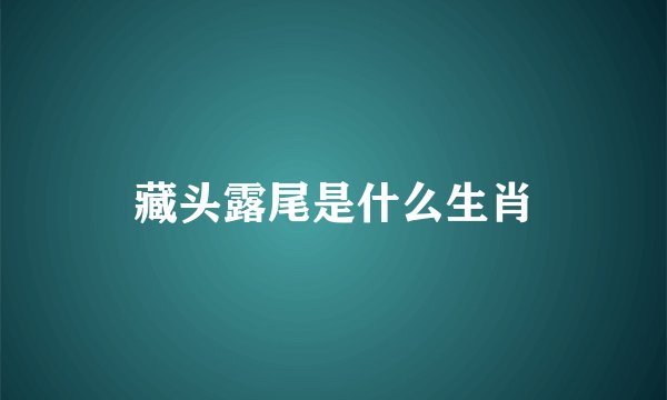 藏头露尾是什么生肖