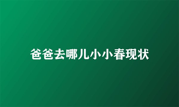 爸爸去哪儿小小春现状