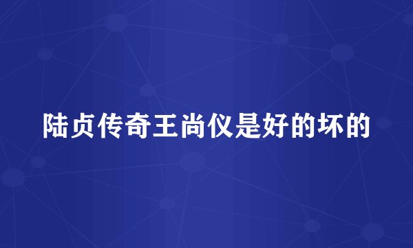 陆贞传奇王尚仪是好的坏的
