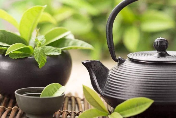 清茶一杯的优美句子