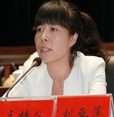 刘亚萍的人物履历
