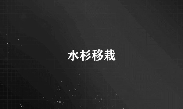 水杉移栽