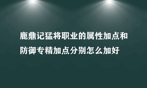 鹿鼎记猛将职业的属性加点和防御专精加点分别怎么加好