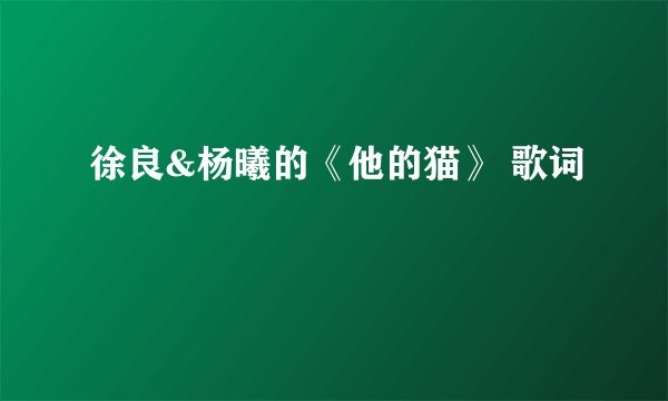 徐良&杨曦的《他的猫》 歌词