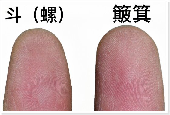 一斗穷二斗富三斗四斗是什么