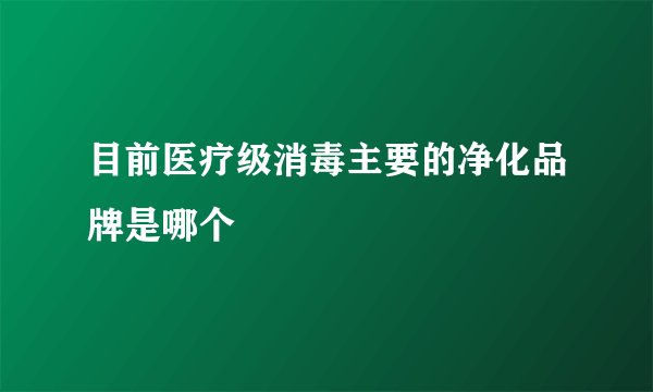 目前医疗级消毒主要的净化品牌是哪个