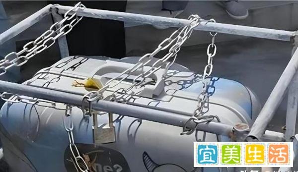 “深圳女模被害案”始末：女模路上遭侵害分尸，隆胸硅胶引出真相