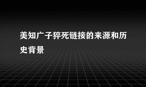 美知广子猝死链接的来源和历史背景