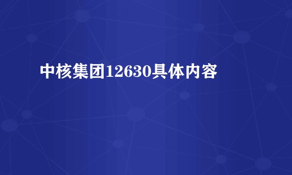 中核集团12630具体内容
