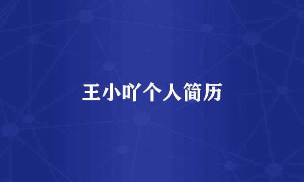 王小吖个人简历
