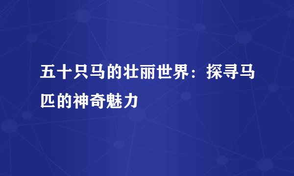 五十只马的壮丽世界：探寻马匹的神奇魅力