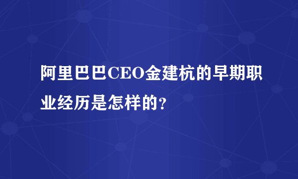 阿里巴巴CEO金建杭的早期职业经历是怎样的？