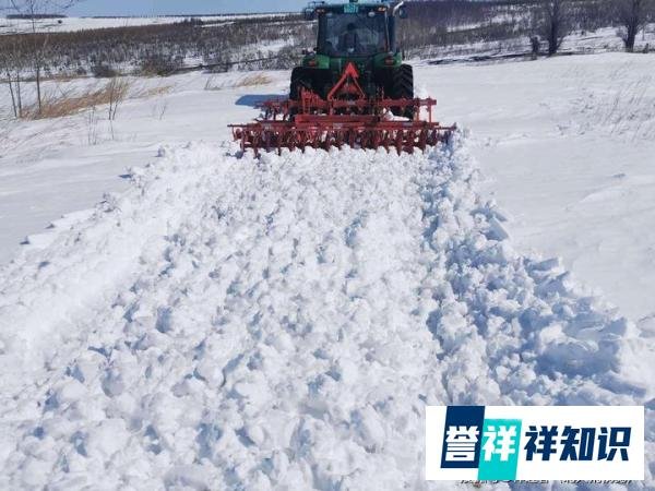 雪之恋（诗歌）