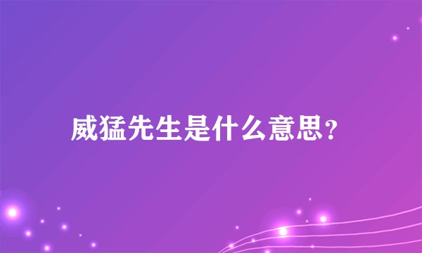 威猛先生是什么意思？