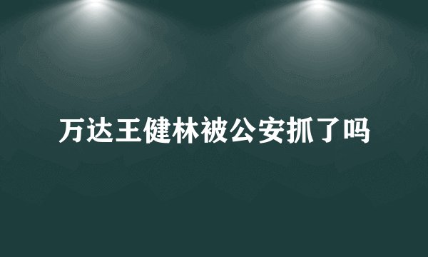 万达王健林被公安抓了吗