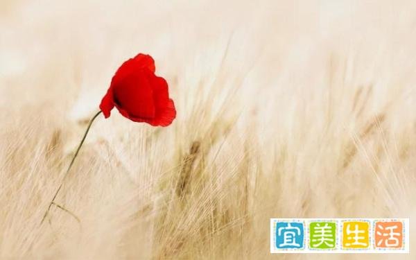 女人是好命还是苦命，关键看三个特征，越到中年越明显