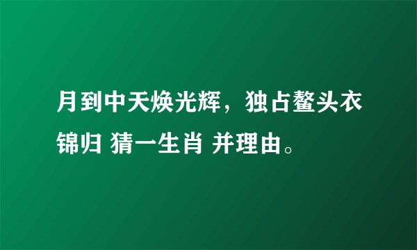 月到中天焕光辉，独占鳌头衣锦归 猜一生肖 并理由。